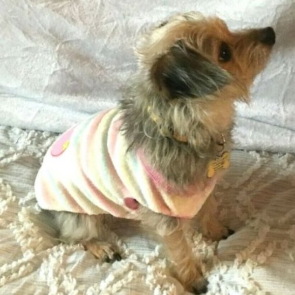 Dog Sweater Fleece Cream & Pink Heart Pastel Stripes NEW - Picture 2 of 6